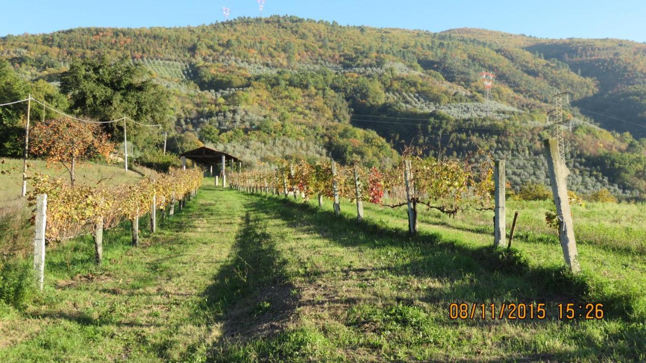 Bauernhof I Melograni Ferentillo